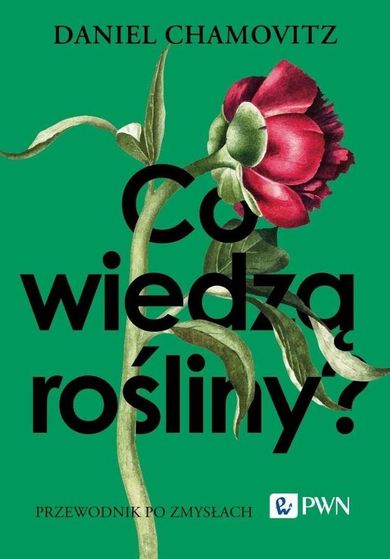 Co wiedzą rośliny? Przewodnik po zmysłach