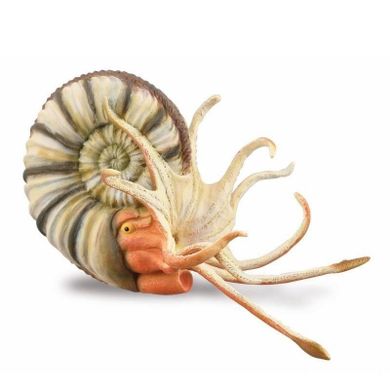 Collecta, Amonit, figurka