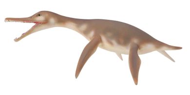 Collecta, dinozaur Dolichorhynchops, figurka, 88520