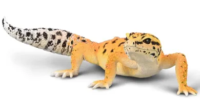 Collecta, Gekon tygrysi, figurka, 80043