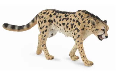 Collecta, Gepard Królewski, figurka, 88608