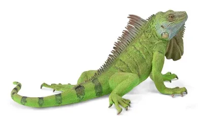 Collecta, Iguana, figurka