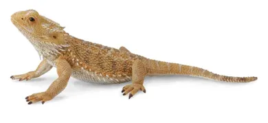 Collecta, Jaszczurka Pogona Smok, Brodata, figurka, 88567