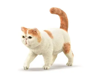 Collecta, Kot krótkowłosy Exotic Shorthair, figurka