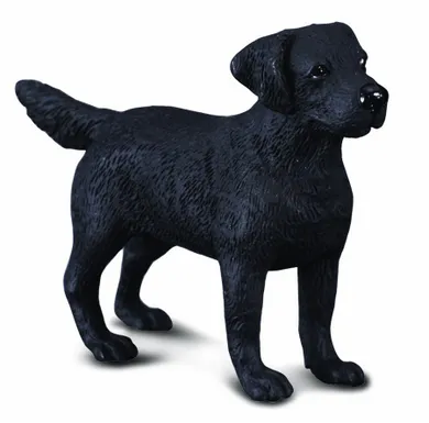 Collecta, Pies Labrador, figurka, 88076