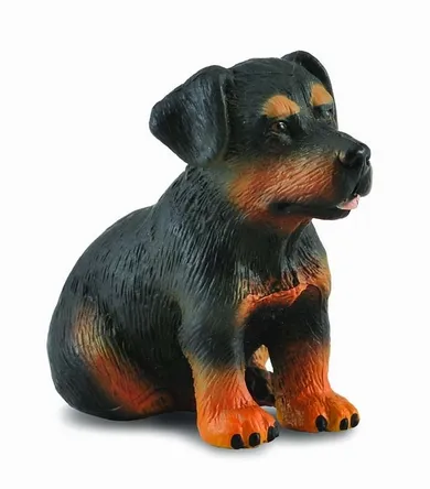 Collecta, Pies rasy Rottweiler, Szczeniak, figurka, 88190