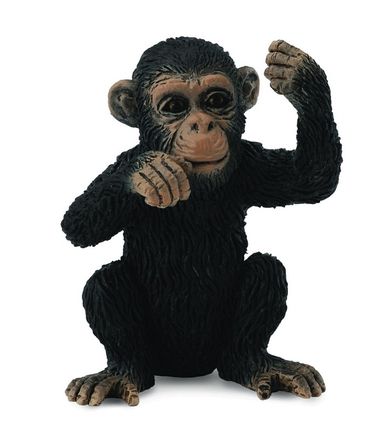 Collecta, Szympans Młody Myślący, figurka, 88495