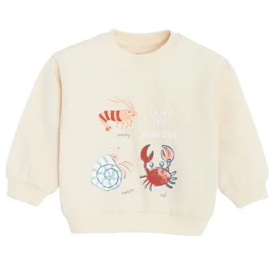 Cool Club, Bluza chłopięca, beżowa