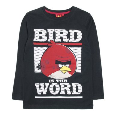 Cool Club, Bluzka chłopięca z długim rękawem, Angry Birds