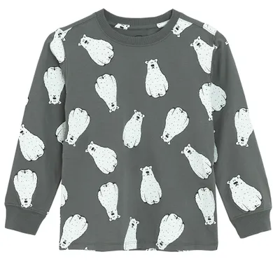 Cool Club, Bluzka chłopięca z długim rękawem, szara