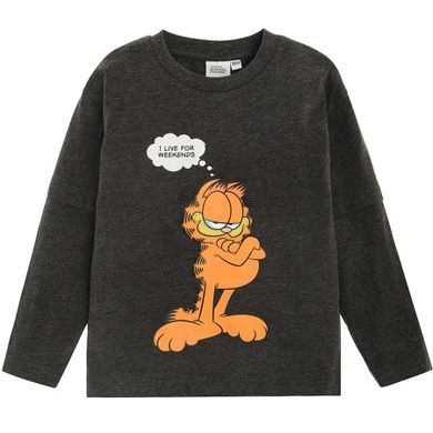 Cool Club, Bluzka chłopięca z długim rękawem, szara, Garfield