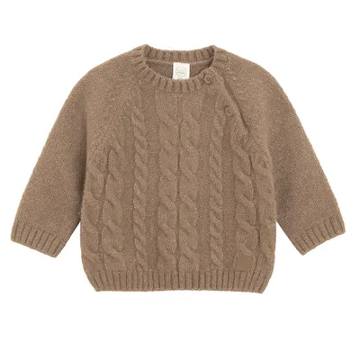 Cool Club, Sweter chłopięcy, brązowy