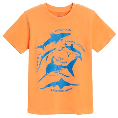 Cool Club, T-shirt chłopięcy, pomarańczowy