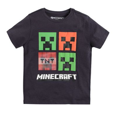 Cool Club, T-shirt chłopięcy, szary, Minecraft
