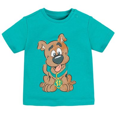 Cool Club, T-shirt chłopięcy, turkusowy, Scooby-Doo