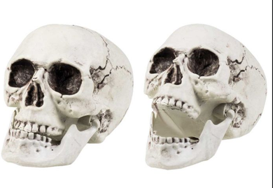 Czaszka z ruchomą szczęką, dekoracja