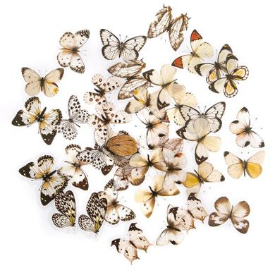 Dalprint, naklejki pet, motyle black&white, 40 szt.