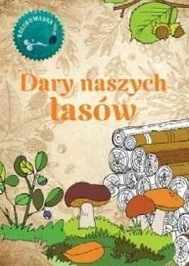 Dary naszych lasów. Kolorowanka