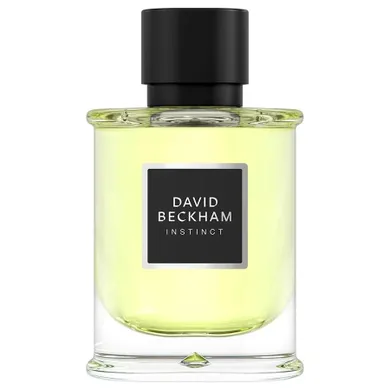 David Beckham, Instinct, woda perfumowana, spray, 75 ml