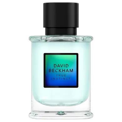 David Beckham, True Instinct, woda perfumowana, spray, 50 ml