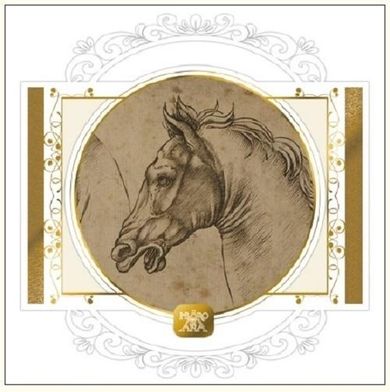 DaVinci, karnet z kopertą, Koń szkic, 16-16 cm