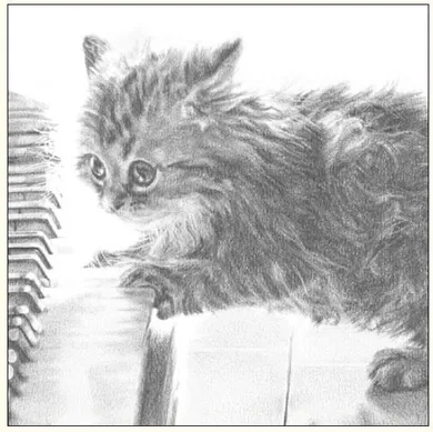 DaVinci, karnet z kopertą, Kot, 16-16 cm