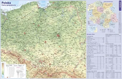 Demart Pap, podkładka na biurko, mata, mapa Polski, fizyczna