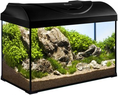 Diversa, Startup 50 LED Expert 10W, akwarium z wyposażeniem, 37,5l