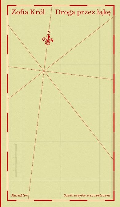 Droga przez łąkę. Sześć esejów o przestrzeni