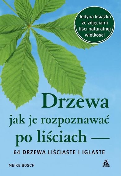 Drzewa. Jak je rozpoznawać po liściach