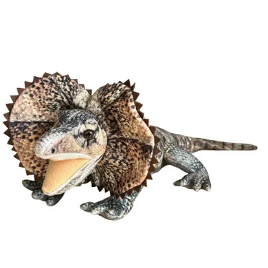 Dubi, Agama, maskotka, 65 cm