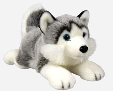 Dubi, Husky leżący, maskotka, 34 cm