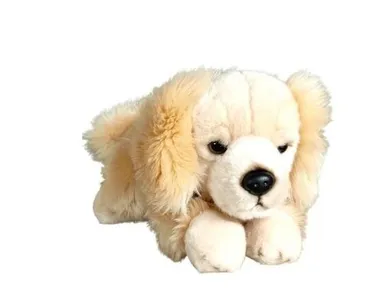 Dubi, Pies Retriver leżący, maskotka, 30 cm