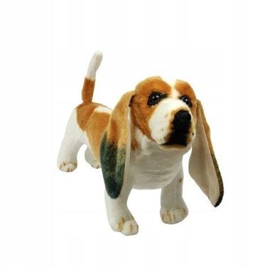 Dubi Plusz, Pies basset, maskotka, 44 cm
