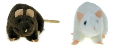 Dubi, Szczur, maskotka, 20 cm
