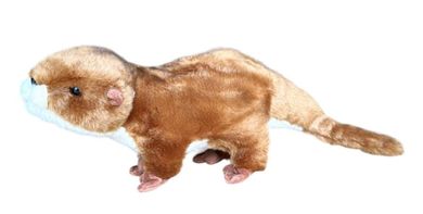 Dubi, Wydra, maskotka, 35 cm