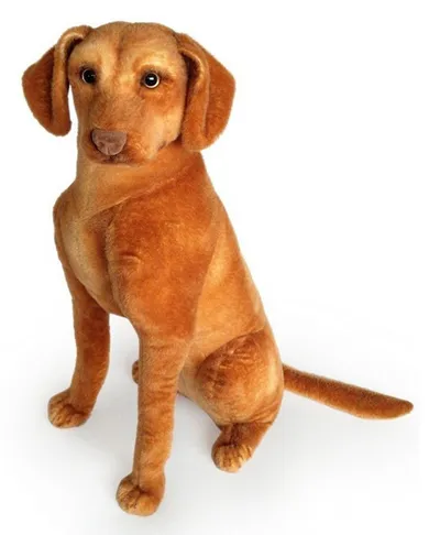 Dubi, wyżeł siedzący, 44 cm