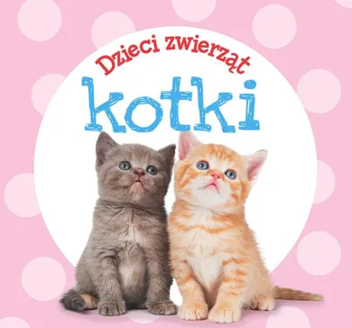 Dzieci zwierząt - kotki