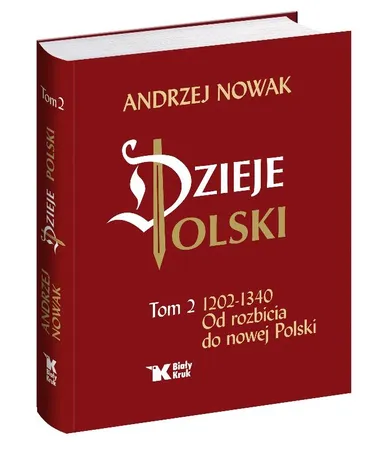 Dzieje Polski. Od rozbicia do nowej Polski. Tom 2