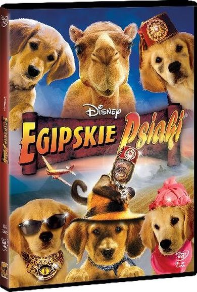 Egipskie psiaki. DVD