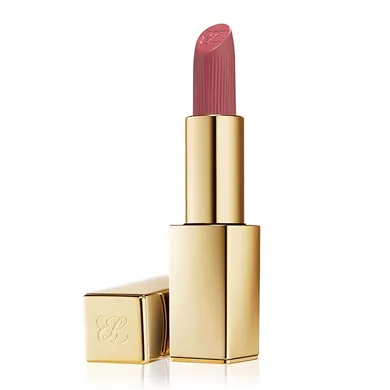 Estée Lauder, Pure Color Matte Lipstick, matowa pomadka do ust, 669 Stolen Heart, 3.5g