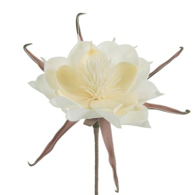 Eurofirany, kwiat flore, 65 cm, biały