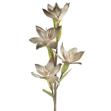 Eurofirany, kwiat flore, o 10-50 cm, ciemnobeżowy