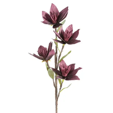 Eurofirany, kwiat flore, o 10-50 cm, ciemnofioletowy