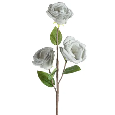 Eurofirany, kwiat flore, o 10-50 cm, popielaty