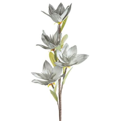 Eurofirany, kwiat flore, o 10-50 cm, popielaty