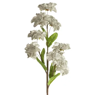 Eurofirany, kwiat flore, o 20-65 cm, popielaty