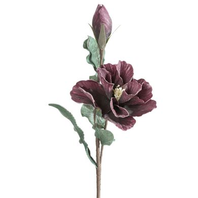 Eurofirany, kwiat flore, o 20-70 cm, ciemnofioletowy