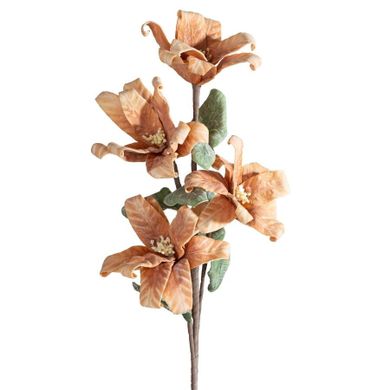 Eurofirany, kwiat flore, o 20-70 cm, jasnobrązowy