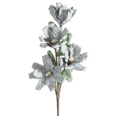 Eurofirany, kwiat flore, o 20-70 cm, popielaty